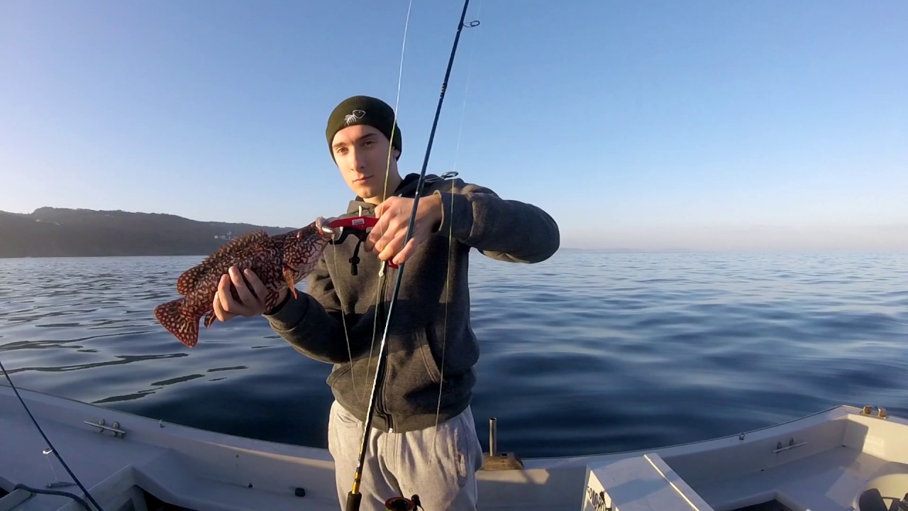Pinto capturado a jigging con vinilo Real Sas&aacute;n 30 gramos