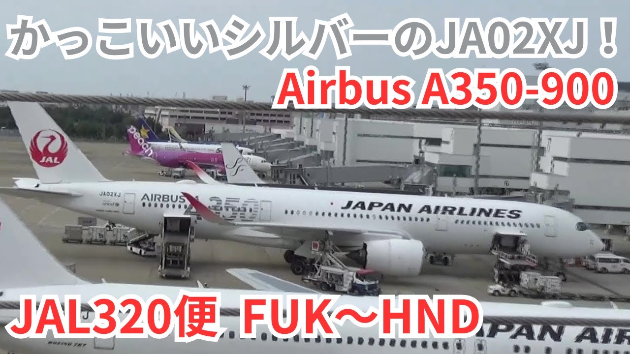 革新のシルバー！JAL320便　Airbus A350-900 JA02XJ 福岡～羽田間搭乗記録