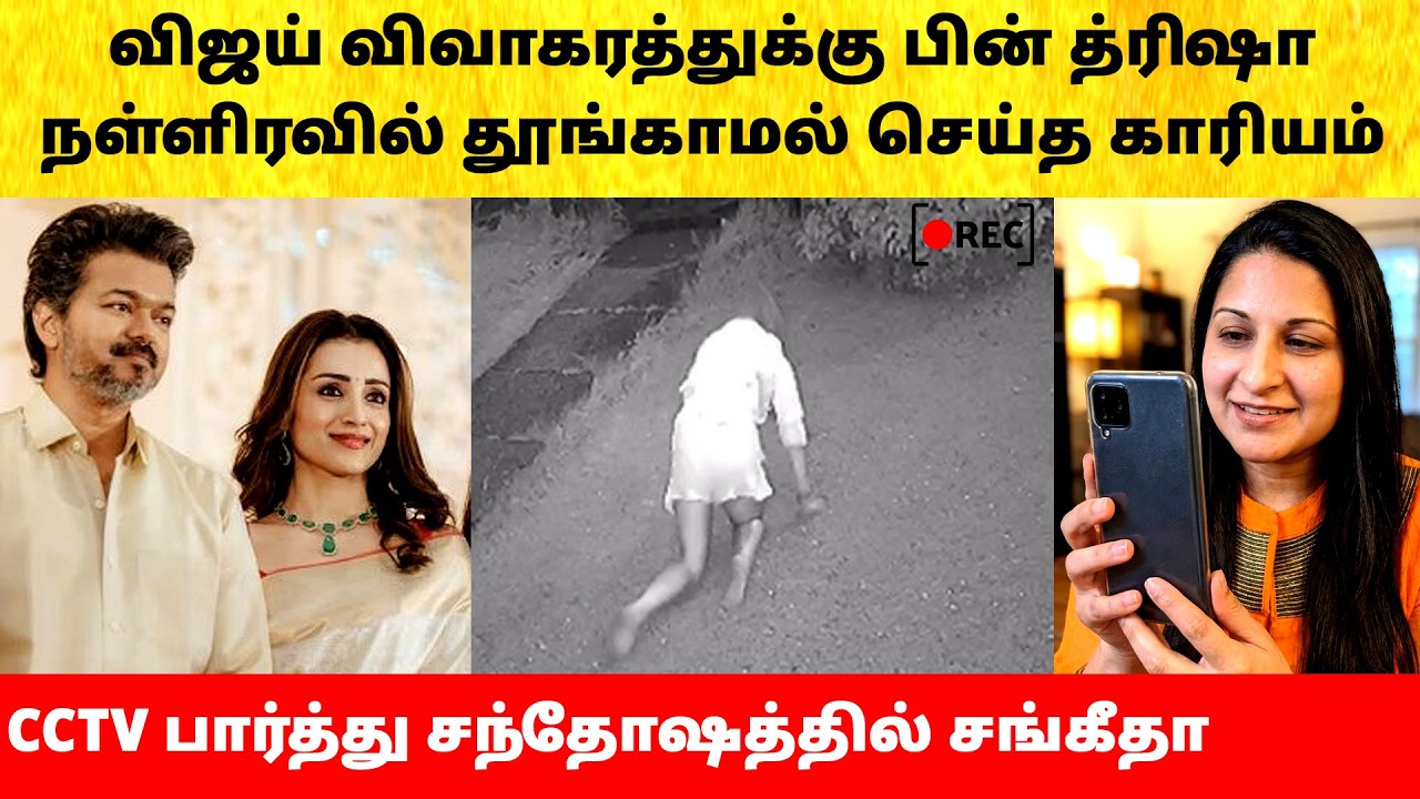 Trisha Sleepless after Thalapathy Vijay Wife Sangeetha divorce issue | Actress | Latest News | TVK