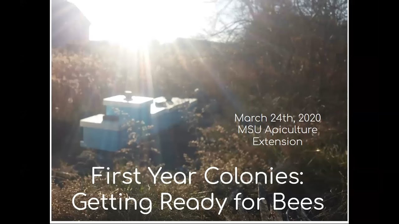 First Year Colonies: Getting Ready for Bees