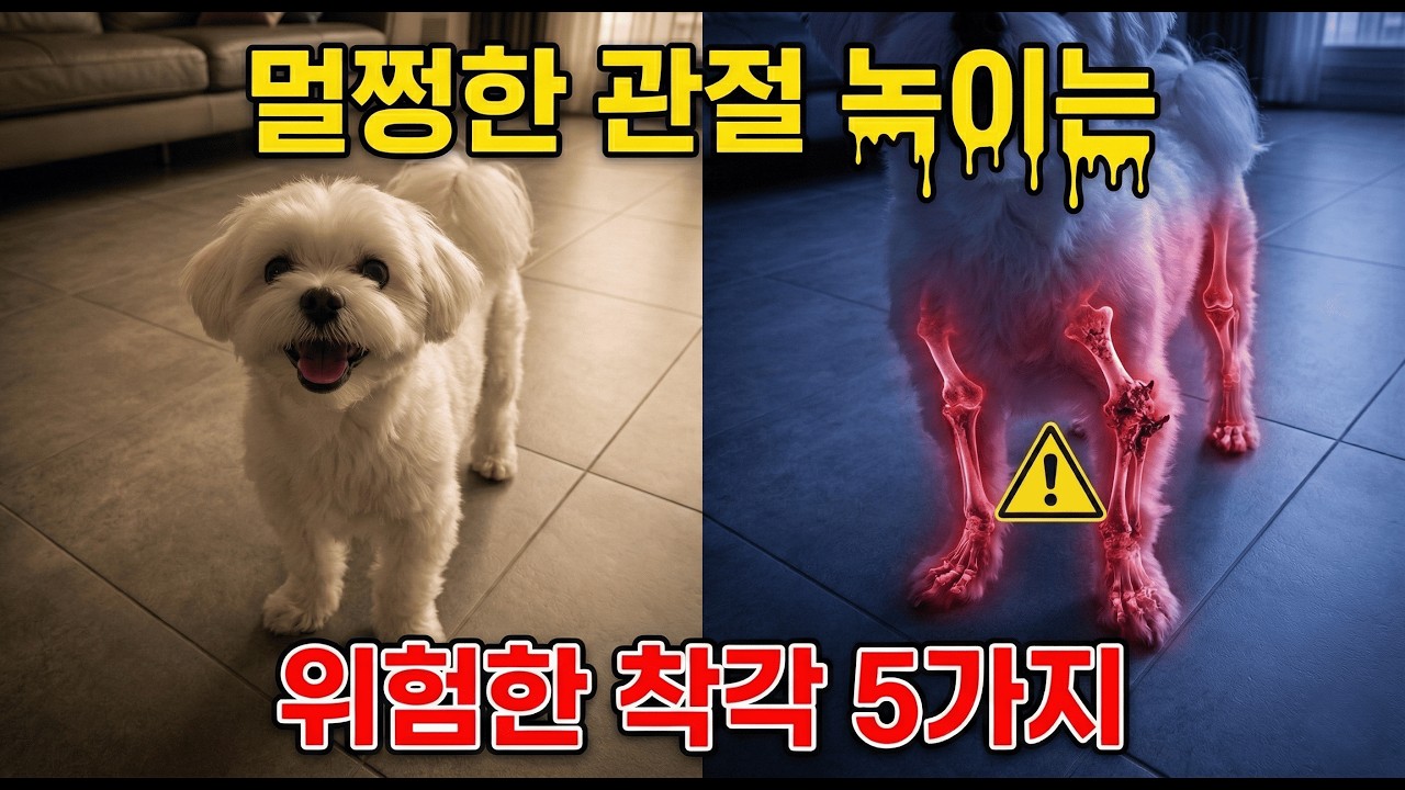 멀쩡한 강아지 관절 녹이는, 위험한 착각 5가지! (수술비 300만 원 깨지기 전에 보세요)