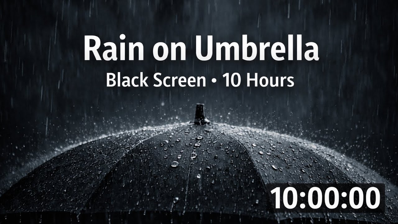 Rain on Umbrella white noise 🌧️ 10 Hours – Relaxing Rain Sounds (Black Screen)