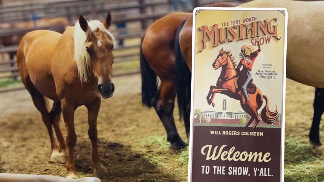 Пикап Wild Mustang для 120-дневного конкурса Mustang Magic