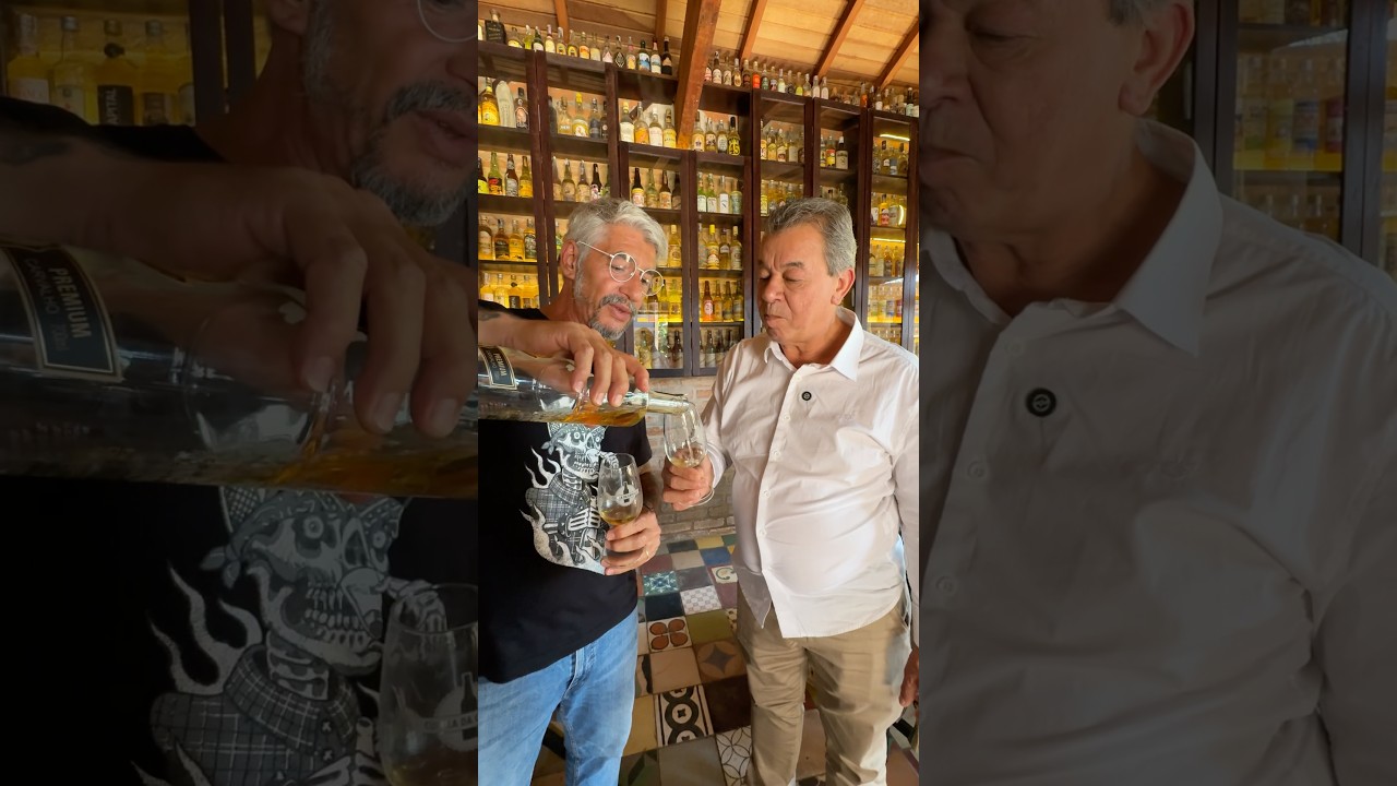 Especialista ensina beber cacha&ccedil;a #shorts