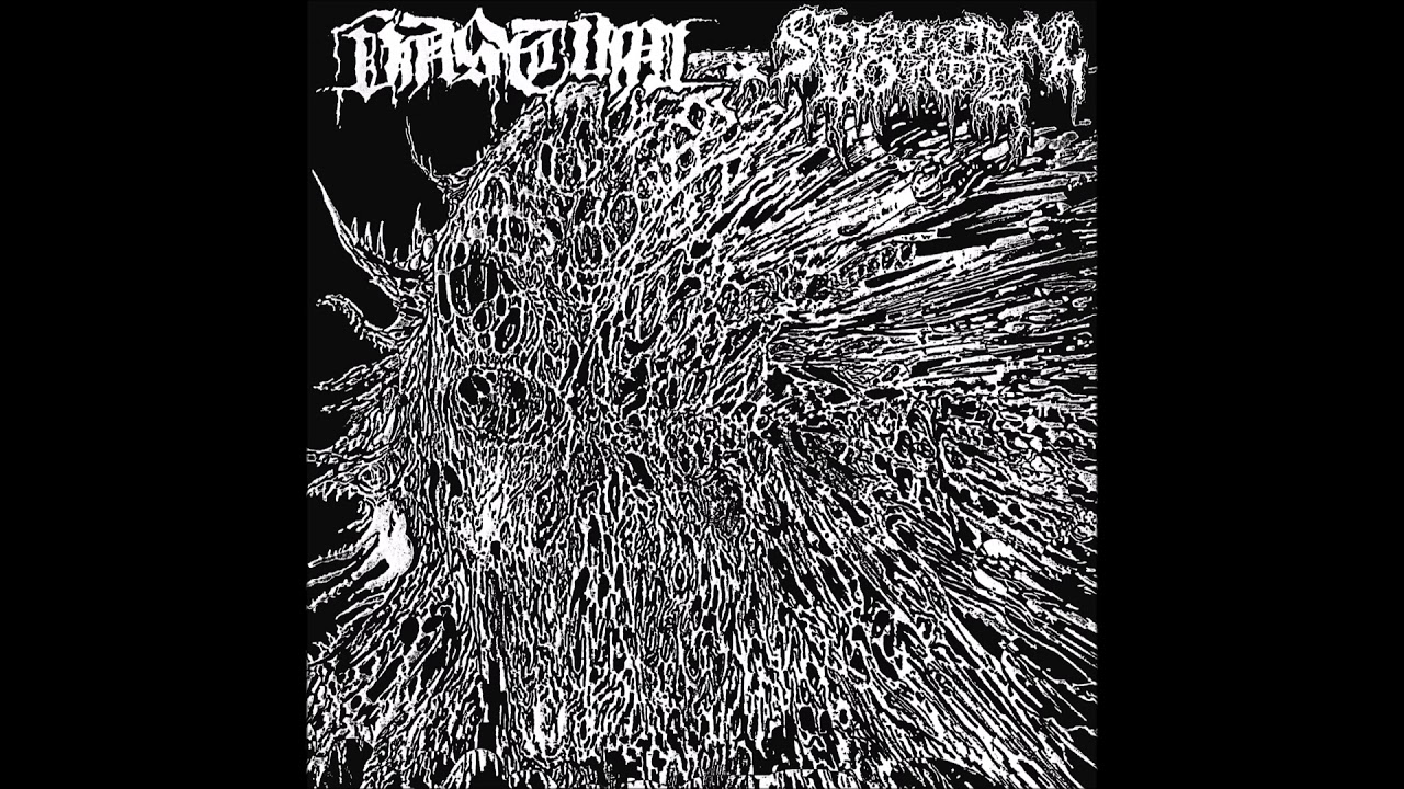 Spectral Voice - Katabic Depths