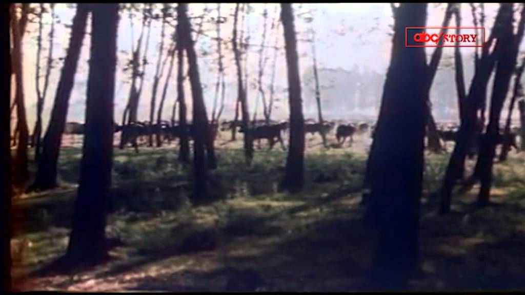 SHQIPERIA 1980 ABCStory 29 Tetor 2013