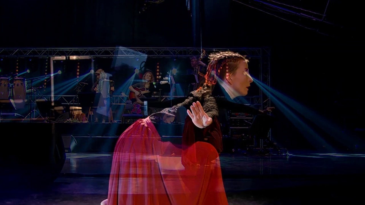 Saara Ervasti & Susanna Leppänen orchestra - Linnustaja