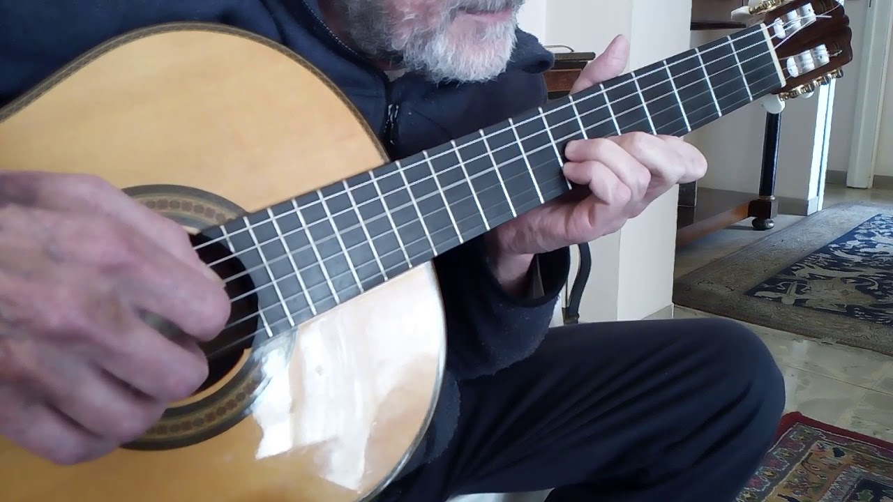 La canzone dell'amore perduto consigli Giuseppe Capannini - Fabrizio de André cover tutorial