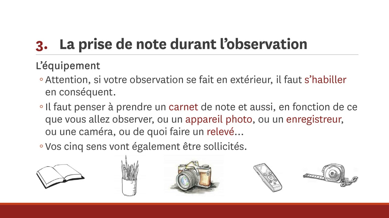 L'observation directe