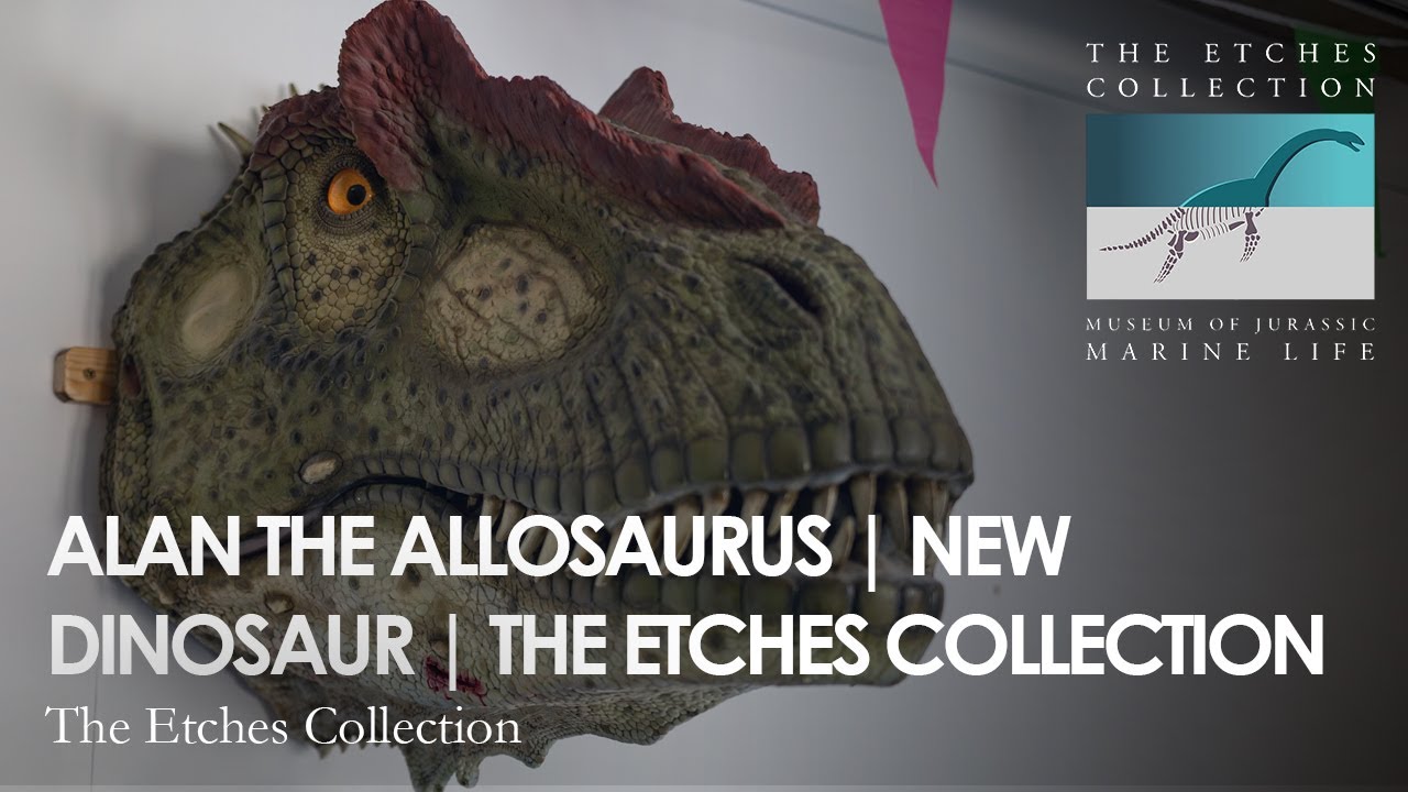 Alan the Allosaurus and an AWESOME dinosaur claw fossil.