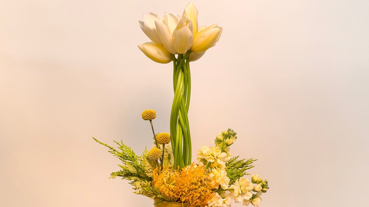 Twisted Tulips