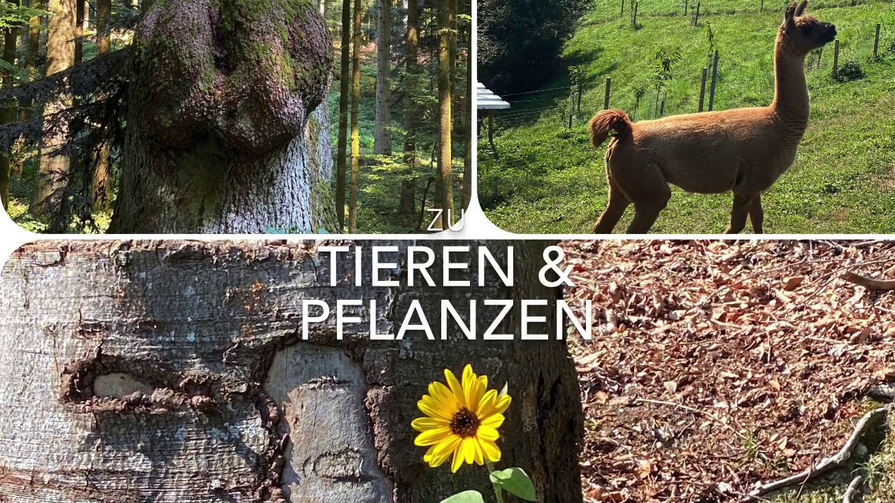 Wandertipp