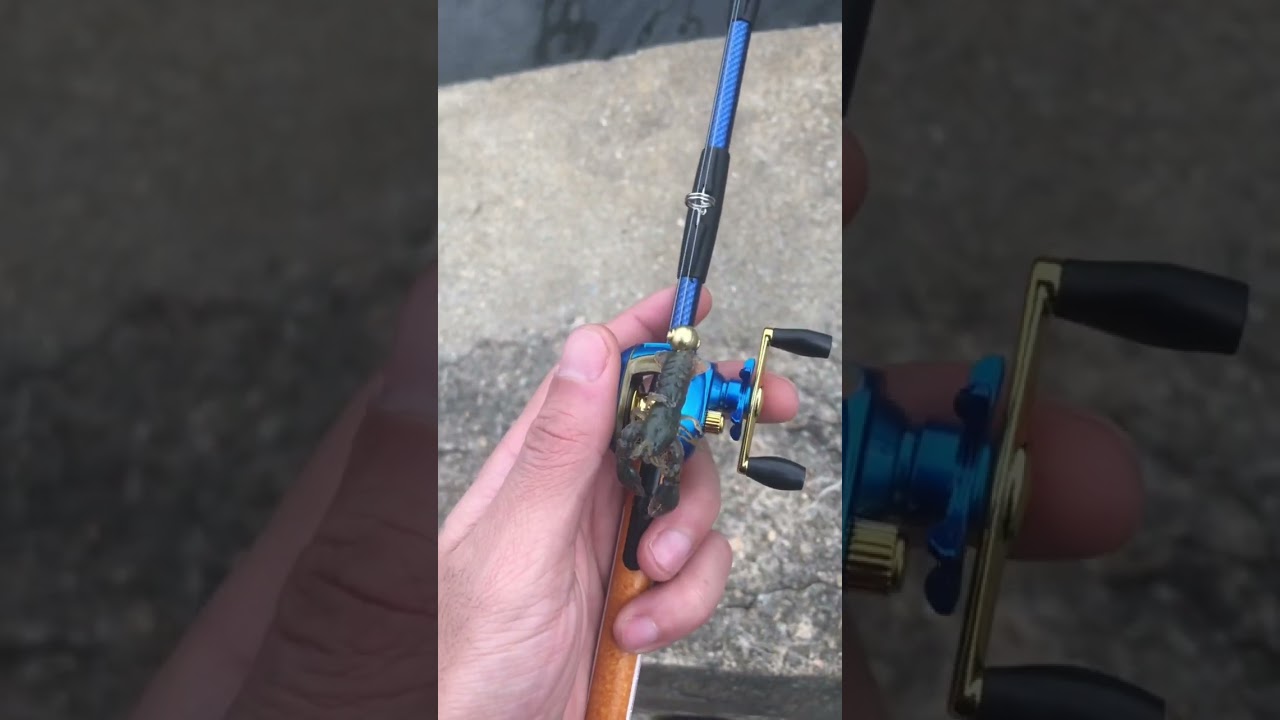 This mini baitcaster Is a what !? 😱