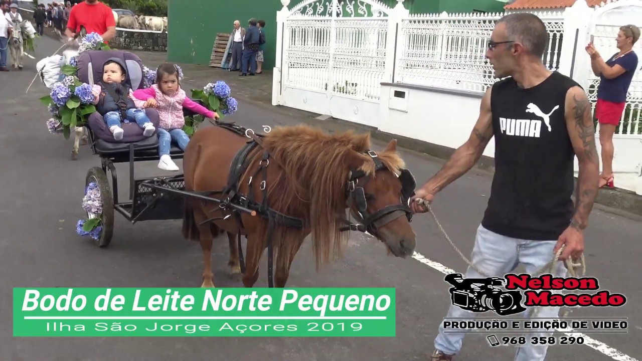 Bodo de Leite, Norte Pequeno 2019 - Ilha São Jorge Açores