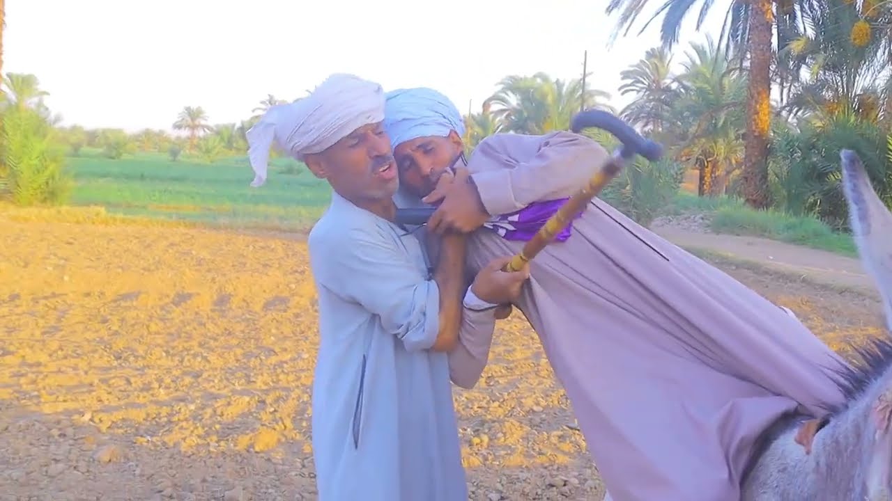 سيد عامل عمده علي احمد ابو اسلام