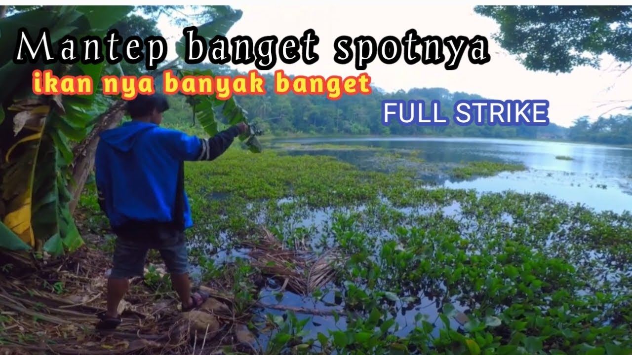 jarang ada orang yang tau ternyata banyak ikannya|| spot mantep #mancing #microfishing