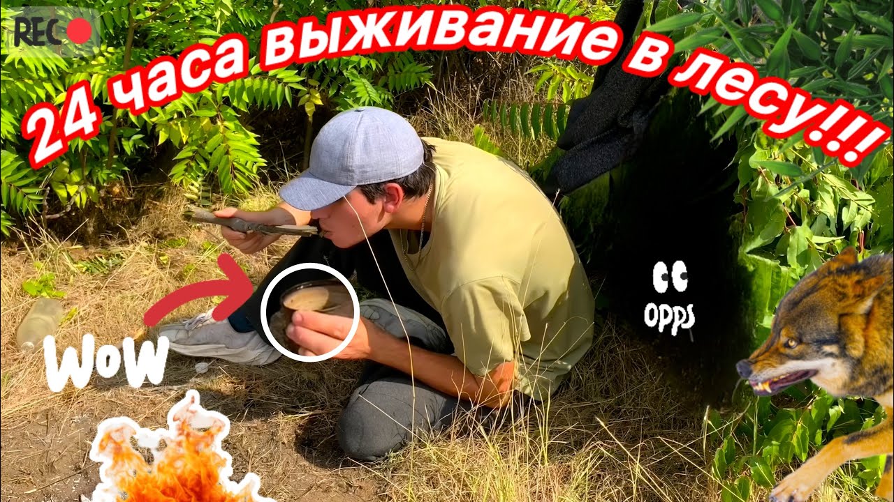 24 часа выживание в лесу. Выживание с сапёрной лопатой за 50 долларов. Ночь в лесу. Приключение)
