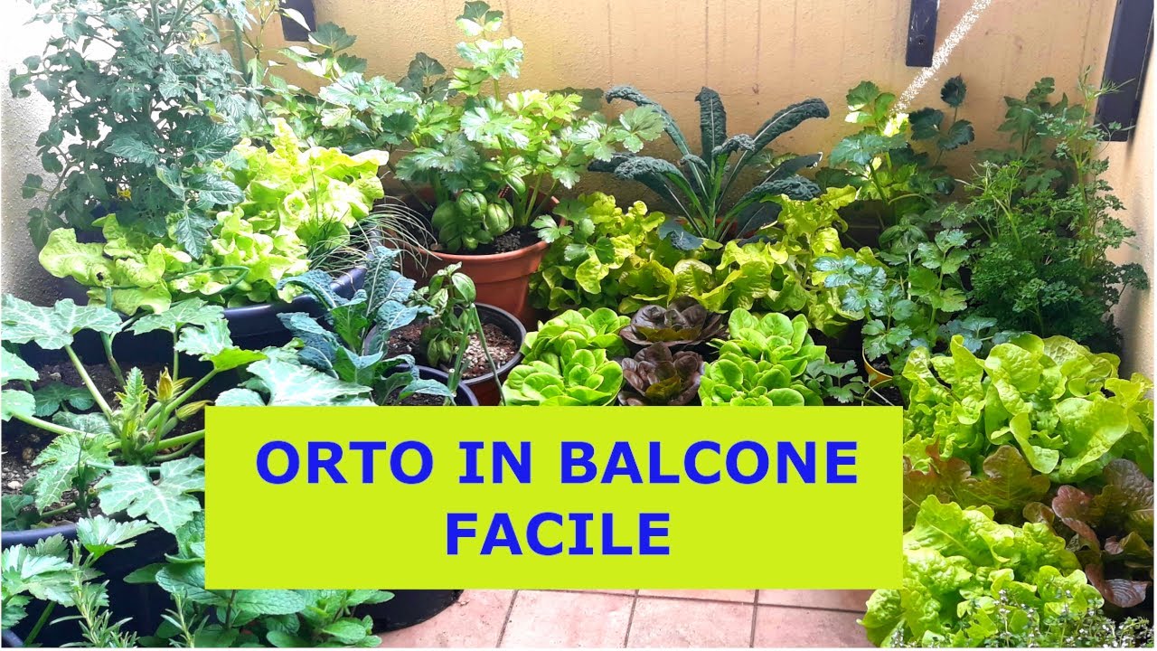 ORTO IN BALCONE O TERRAZZO - IMPOSTAZIONE DI BASE