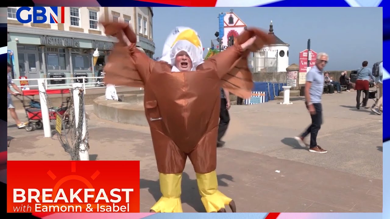 Whitby fish and chip shop employs Mr Eagle Man to scare off scavenging seagulls