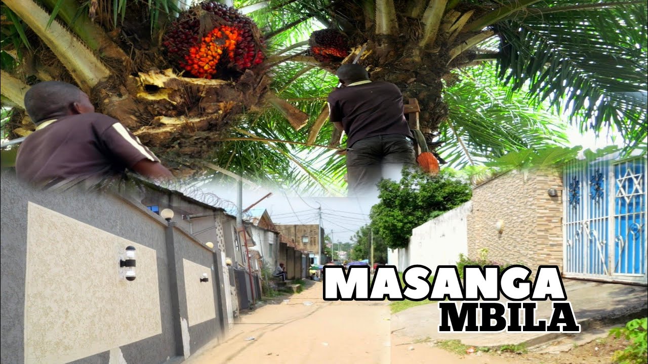DÉCOUVERTE MONT-NGAFULA MASANGA MBILA QUARTIER CHIC MALHEUREUSEMENT AVEC BCP DE TÊTES D’ÉROSION .