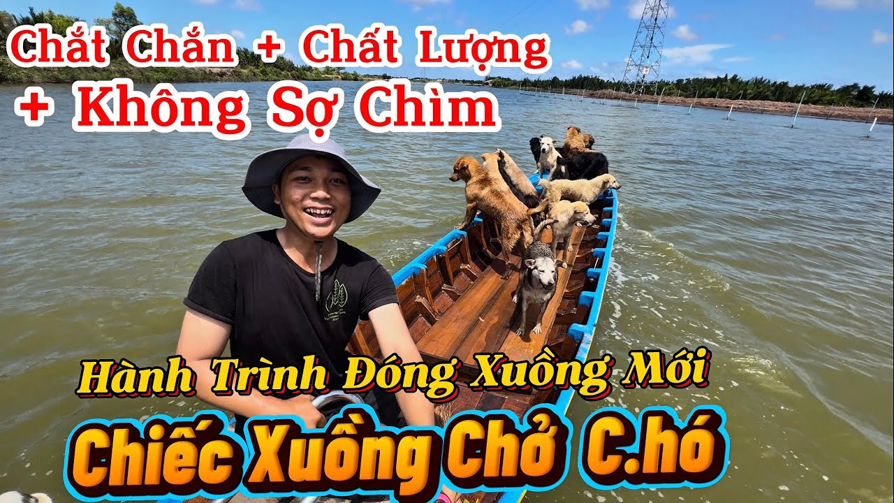 Hành Trình Hình Thành Chiếc Tàu Cho Băng Hải Tặc Bách Thú Ra Khơi Tìm Kho Báu