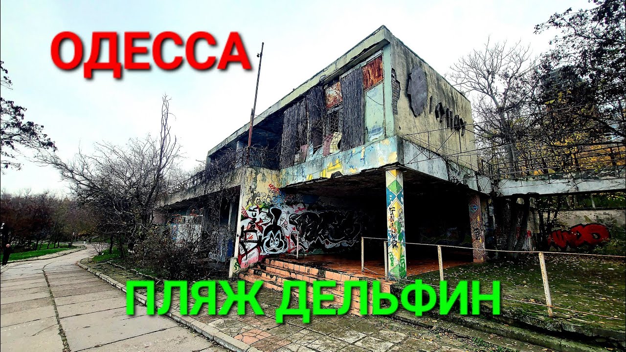 Одесса сегодня. Инклюзивный пляж. Набережная Дельфин. Калетон. Одесские коты. Филатова. #зоотроп