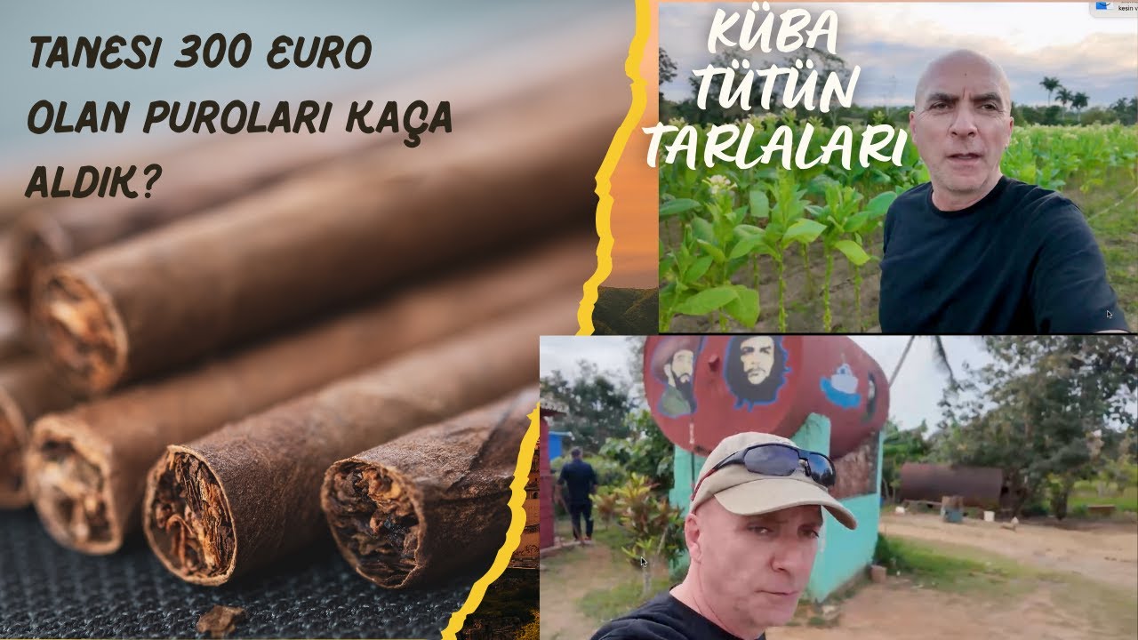 KÜBA puro  markalarının farkları  Cohiba, Montecristo,Romeo Julieta