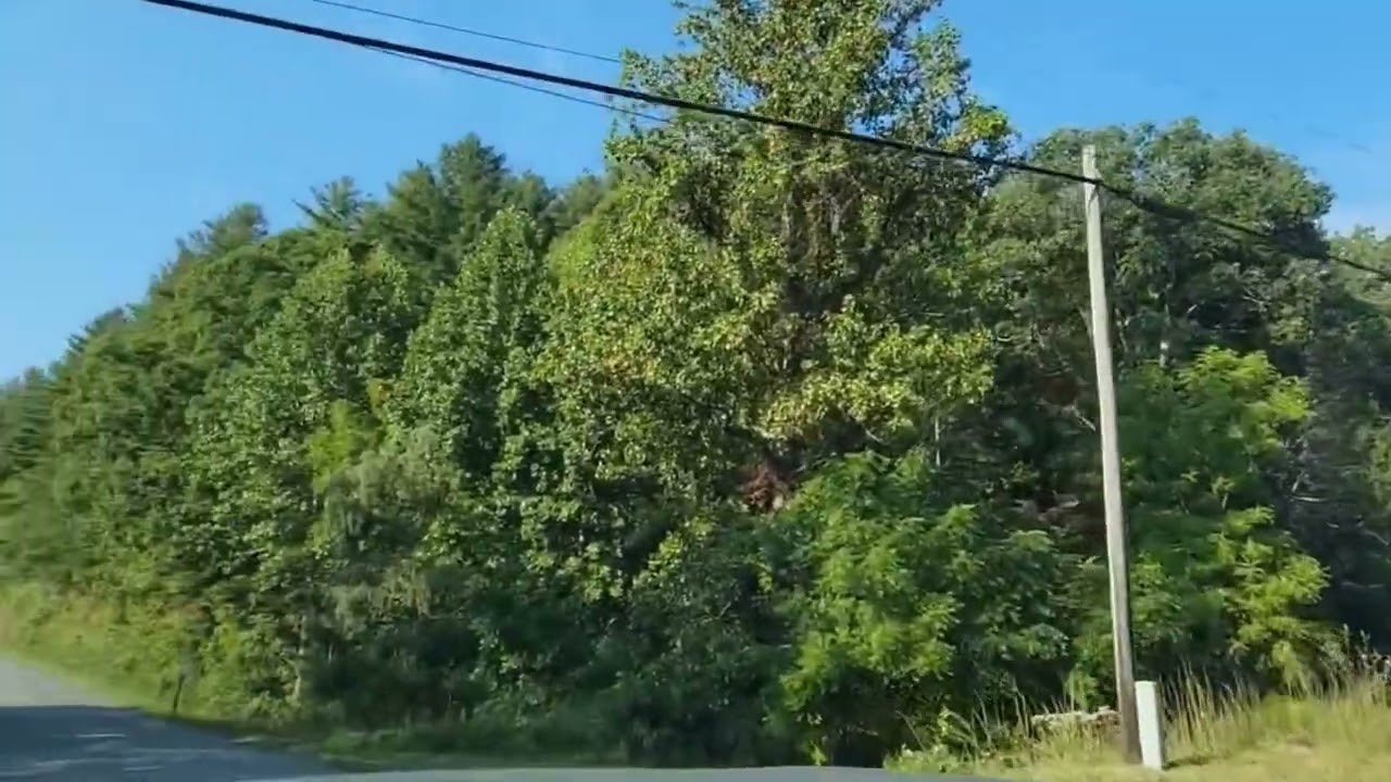 appalachian trail shuttle/emergency extraction for an injured dog and their owner or hiker