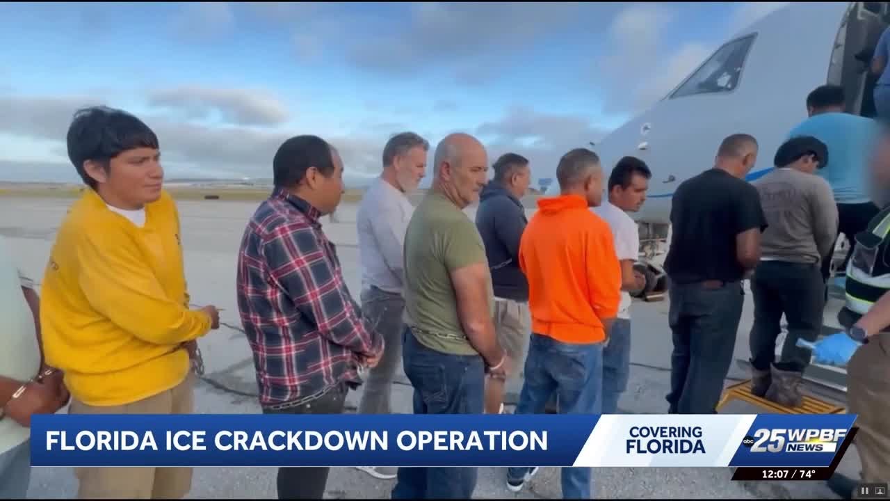Florida law enforcement and ICE arrest 230 criminal immigrants lacking permanent legal status