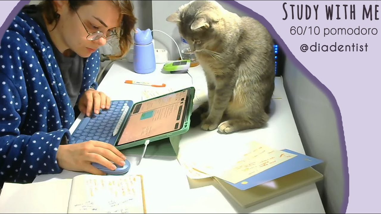 Hedeflerin için benimle 9 saat çalış! Study with me live for 9 hours | 60/10 pomodoro #studywithme