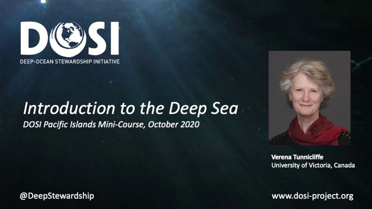 Introduction to the Deep Sea - Verena Tunnicliffe