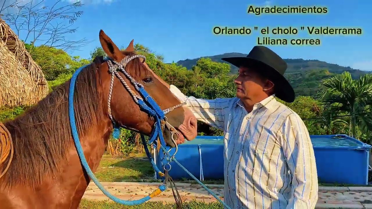 Ayer me Piso un Caballo - EL MOCHO PÉREZ ( Video Oficial)