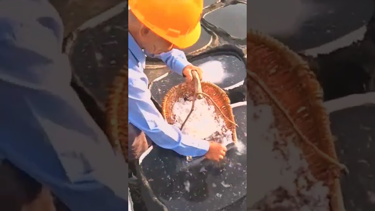 making of salt🧂#howismade #makingof #viral #shorts #diy #technology #automobile  #smartpeople