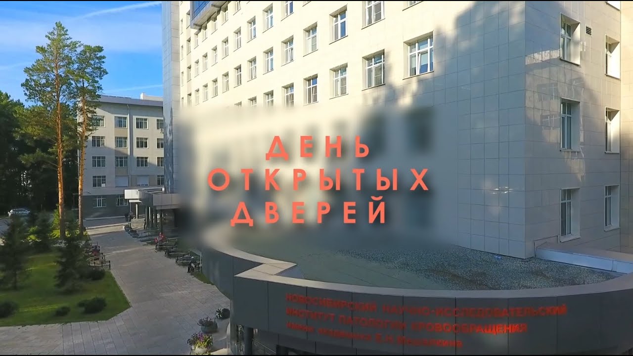 День открытых дверей