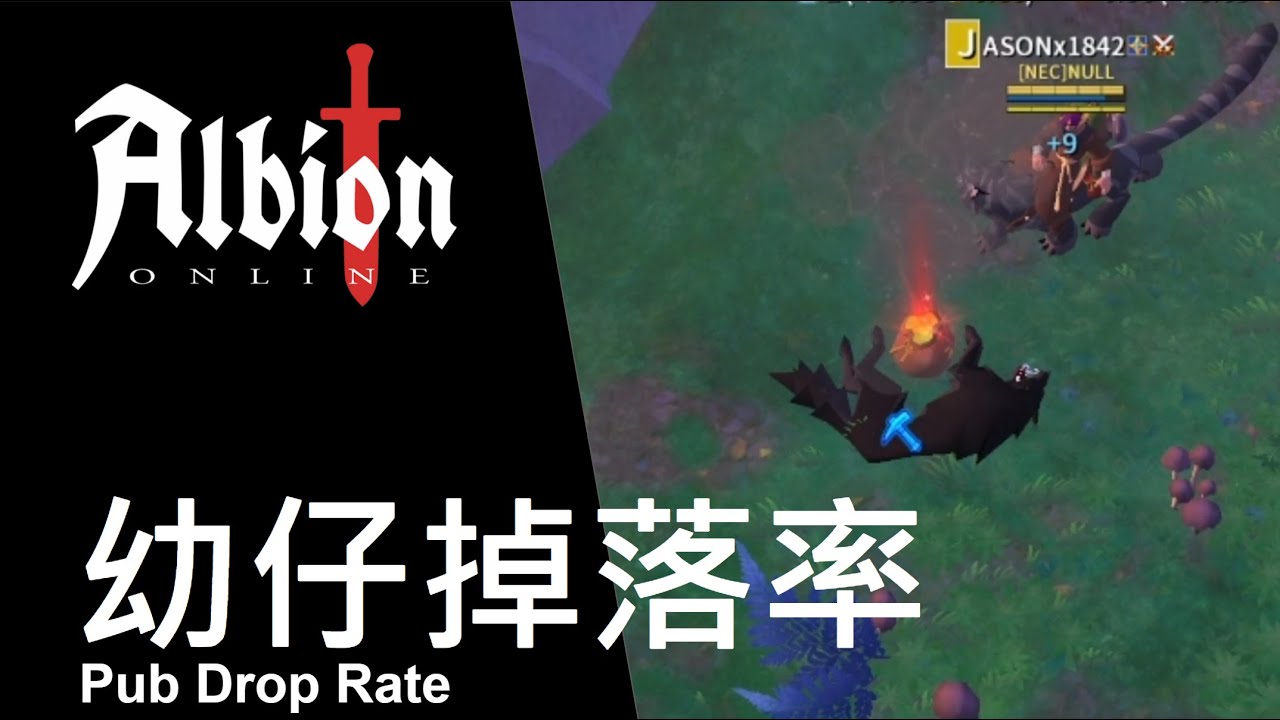 【阿爾比恩】一小時賺多少？210 隻動物實測，幼仔掉落率超低？🐗｜Albion Online 遊戲精華#07