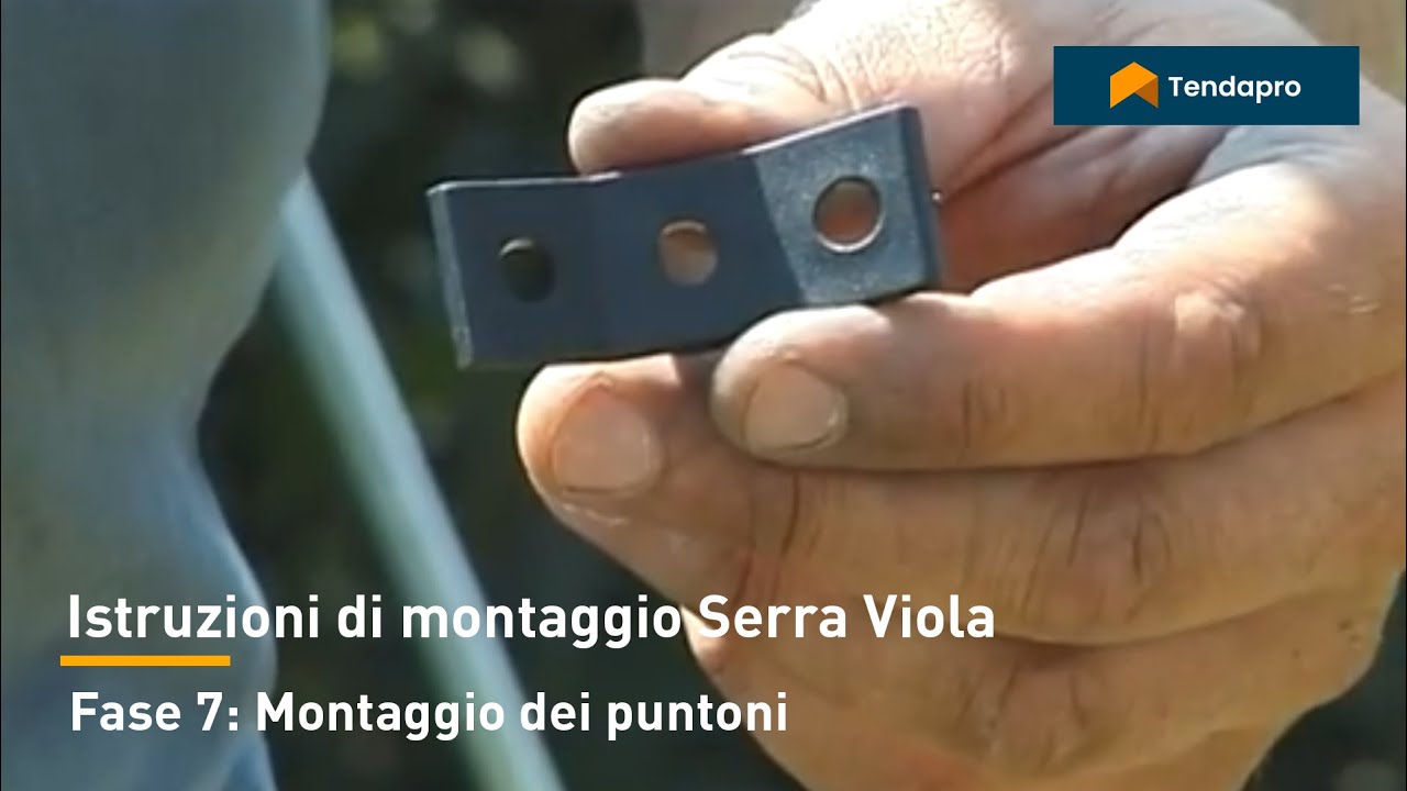 VIOLA - Fase 7 Montaggio dei puntoni