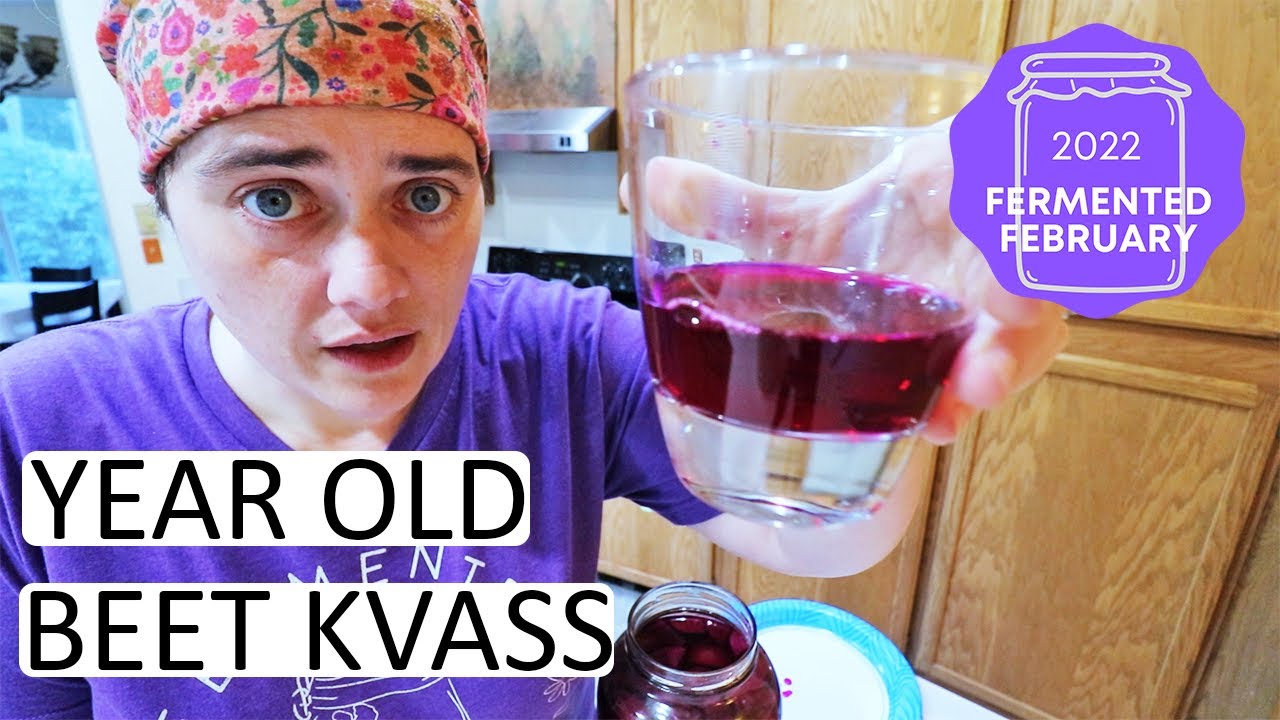 FERMENTED FEBRUARY Colab! Fermenting Beet Kvass For the Absolute Beginner | Fermented Homestead