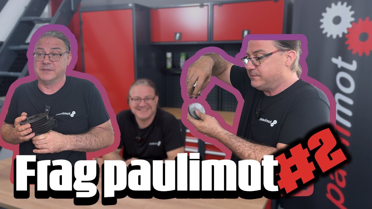 🤔 Frag paulimot Teil II | paulimot