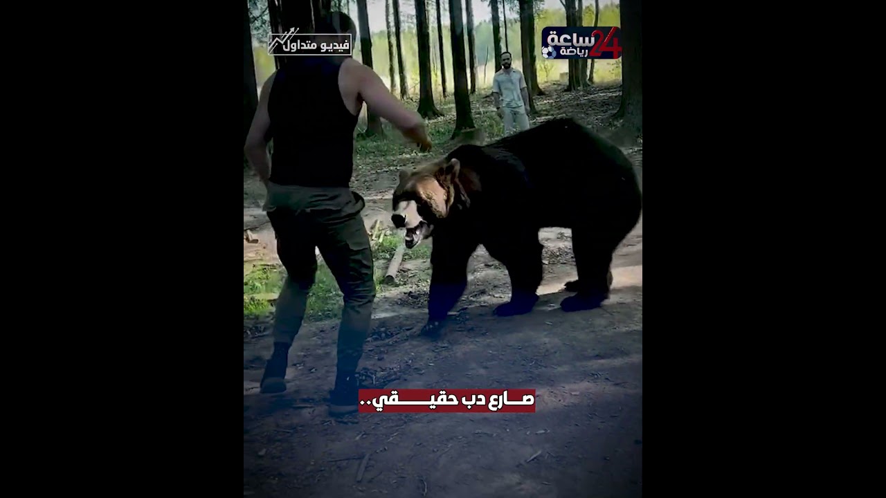 صارع دب حقيقي.. هكذا استعد أرسلانبيك محمودوف لملاكمة تايسون فيوري