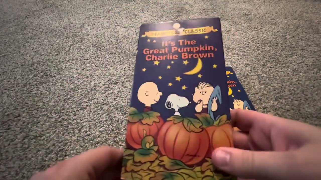 My Slipcover VHS Collection: 2024 Edition (Part 6)
