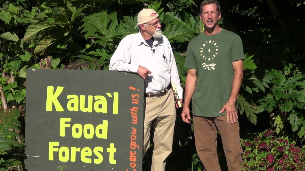 Agroforestry Concepts in the Kauai Foodforest