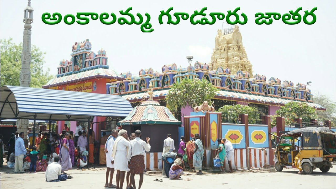 Ankalamma gudur jathara | Simhadripuram | Pulivendhula | Kadapa Distric | Rayalaseema Village Show