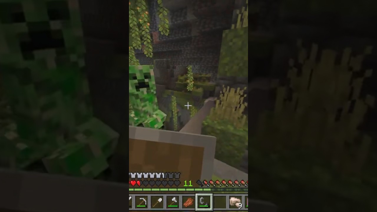 1,000 days of bedrock is stressful 😪  