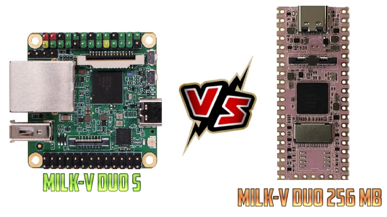 Review Milk-V DUO S