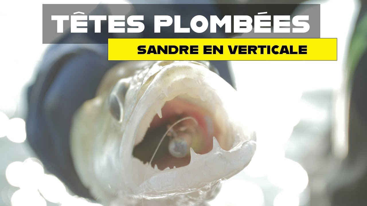 Les têtes plombées pour la pêche du sandre en verticale