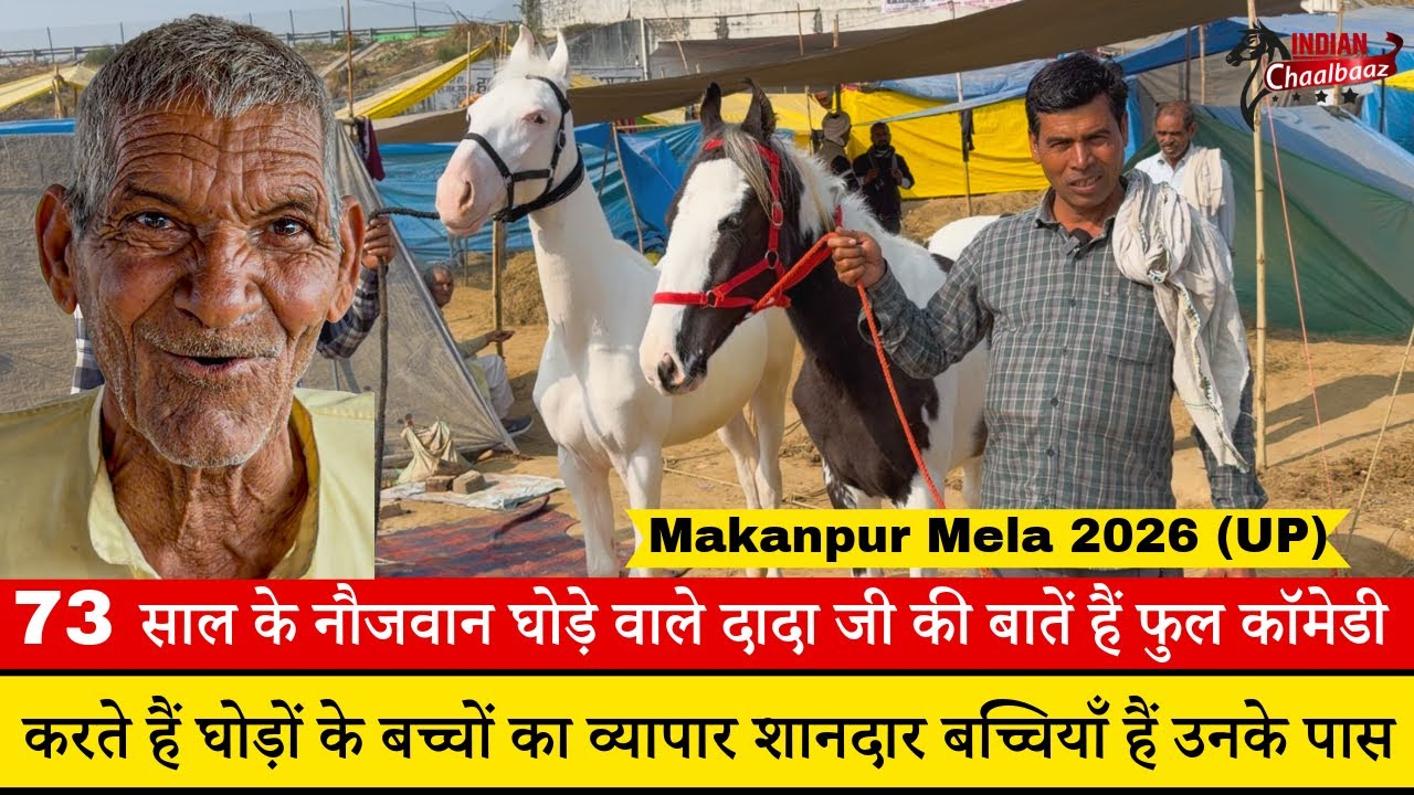 73 साल के दादा जी करते हैं घोड़ों का व्यापार शानदार बच्चियाँ हैं उनके पास Makanpur Mela 2026 (UP)
