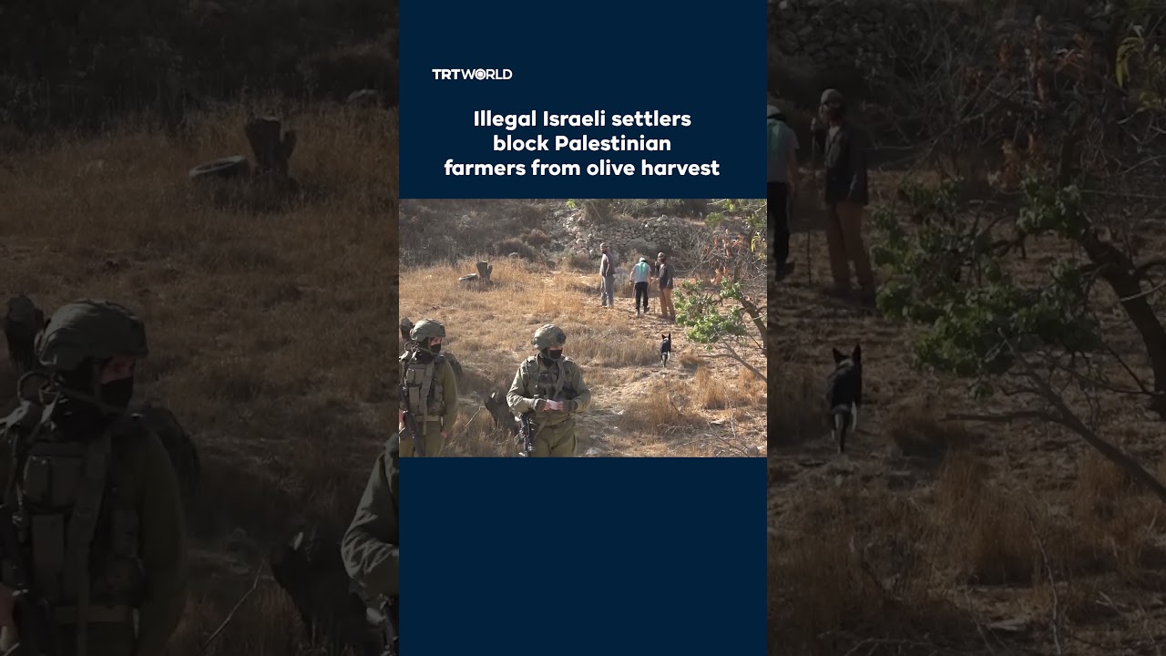 Illegal Israeli settlers block Palestinian farmers from harvesting olives