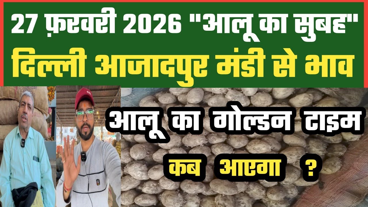 आलू का भाव रुकेगा या भागेगा? 😲 27-02-2026 Azadpur Mandi Latest Update | DMT TV 