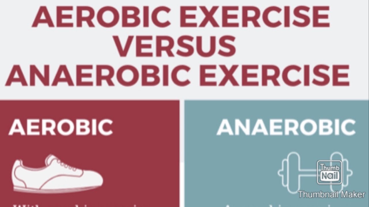 GCSE PE — аэробные и анаэробные упражнения