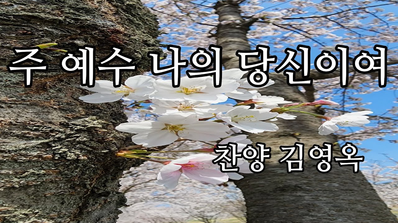 주 예수 나의 당신이여 (찬양 김영옥)